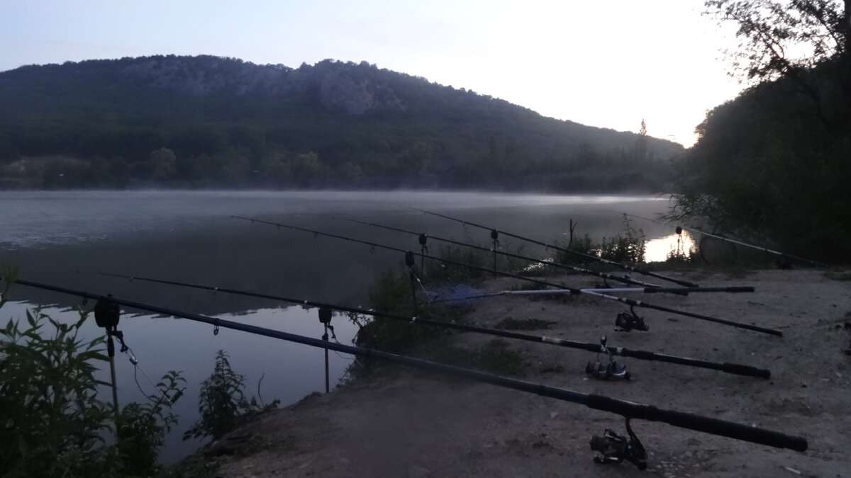 Ремонт строительство фермерство рыбалка кулинария грибы