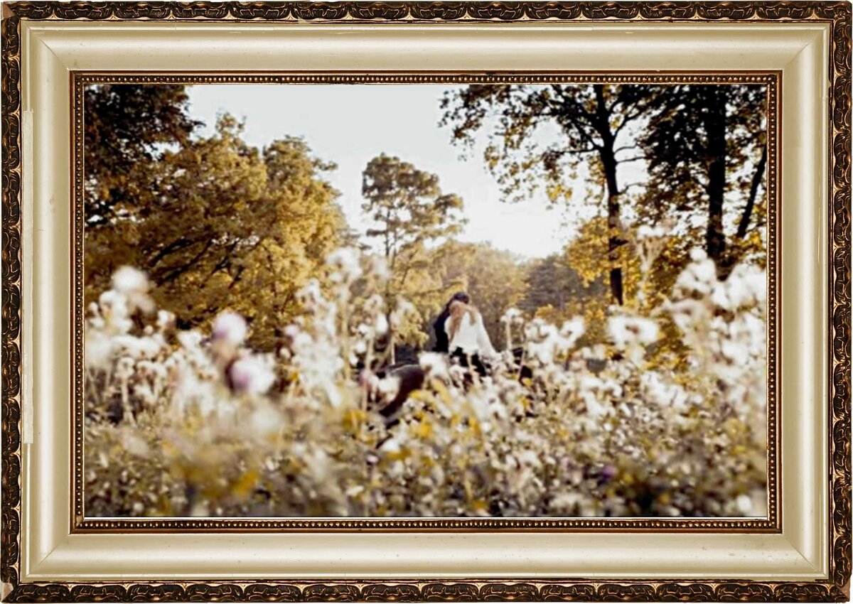 Кадр из фильма «Анжелика, маркиза ангелов» 2013 г. Франция