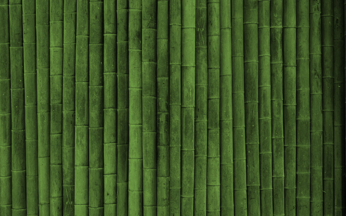 Фотография с открытого источника