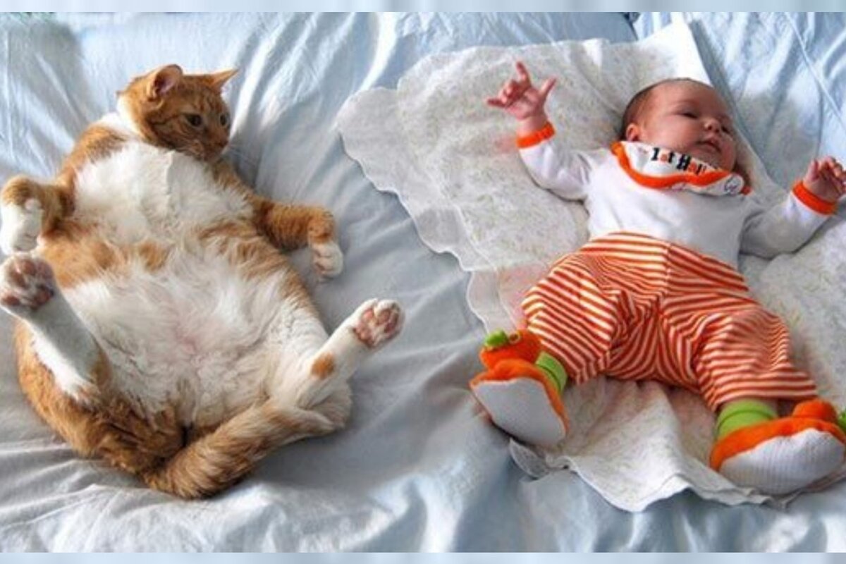 «Друзья навеки», - 15+ трогательных кадров любви между ребенком и ...