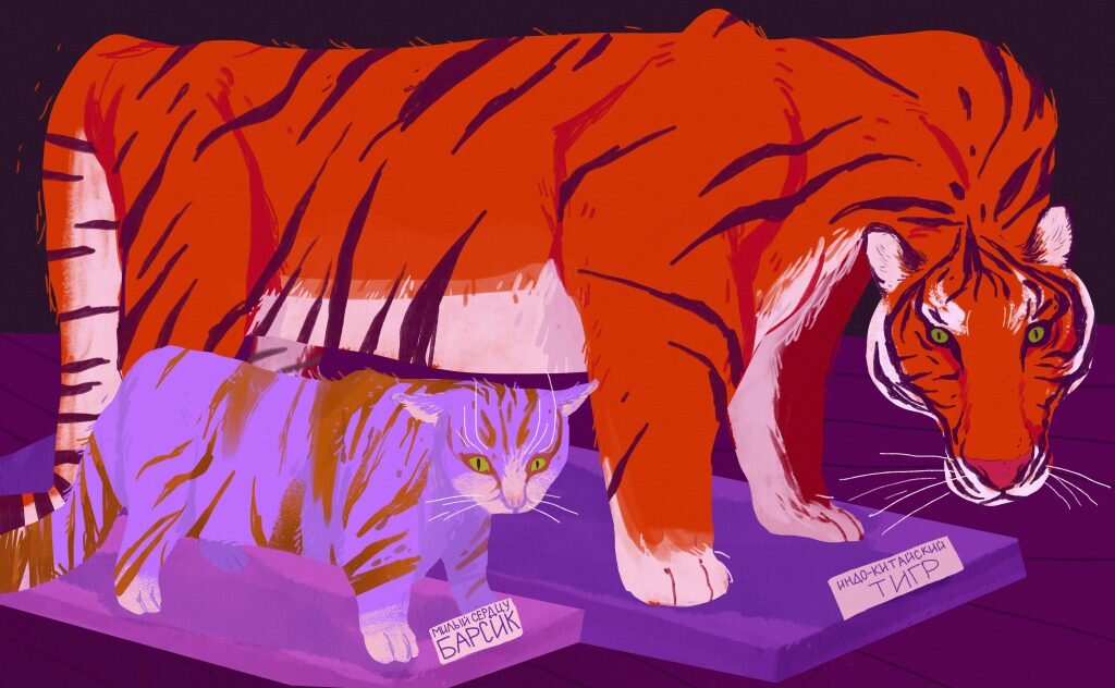 Иллюстрация: Анна Колмыкова