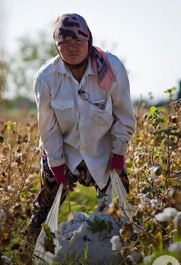 фото взято из интернета