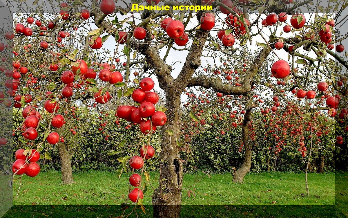 https://vk.com/photo-159774511_457255147