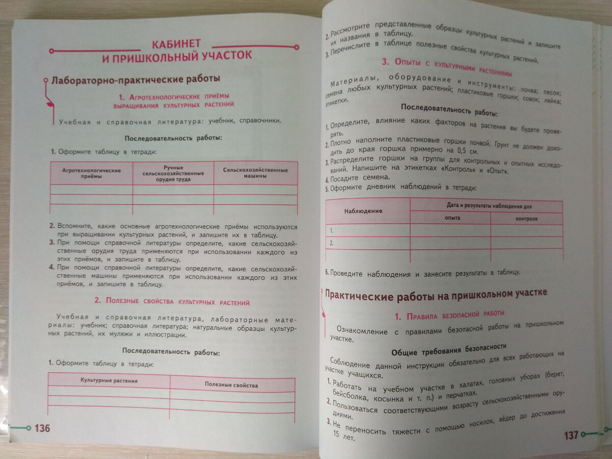 Что будет на уроках труда в школах - Новости образования