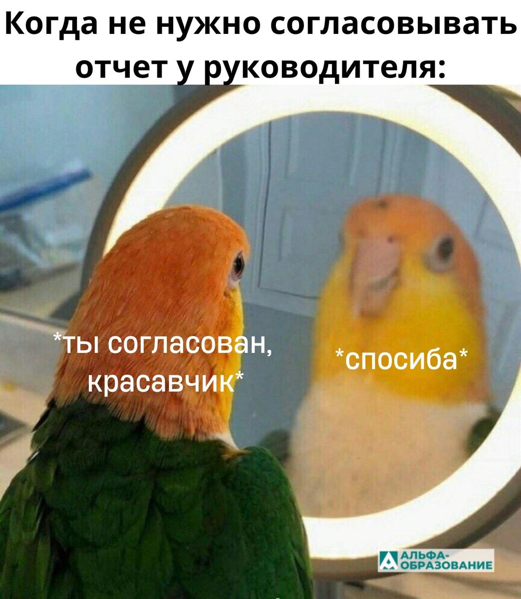 Как согласовать отчет о профессиональной деятельности.