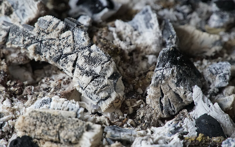 Зола- самый загадочный компонент собачьего корма. Большинству она представляется как-то так. Фото jhenning/Pixabay