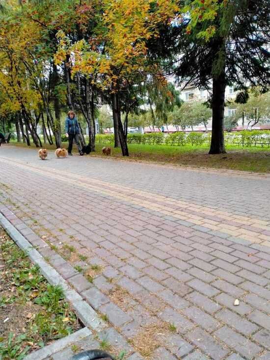     Фото: "МК в Томске"