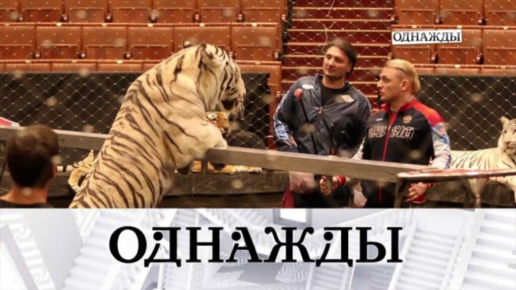    Великолепные братья Запашные и большая чистая любовь Александра Олешко