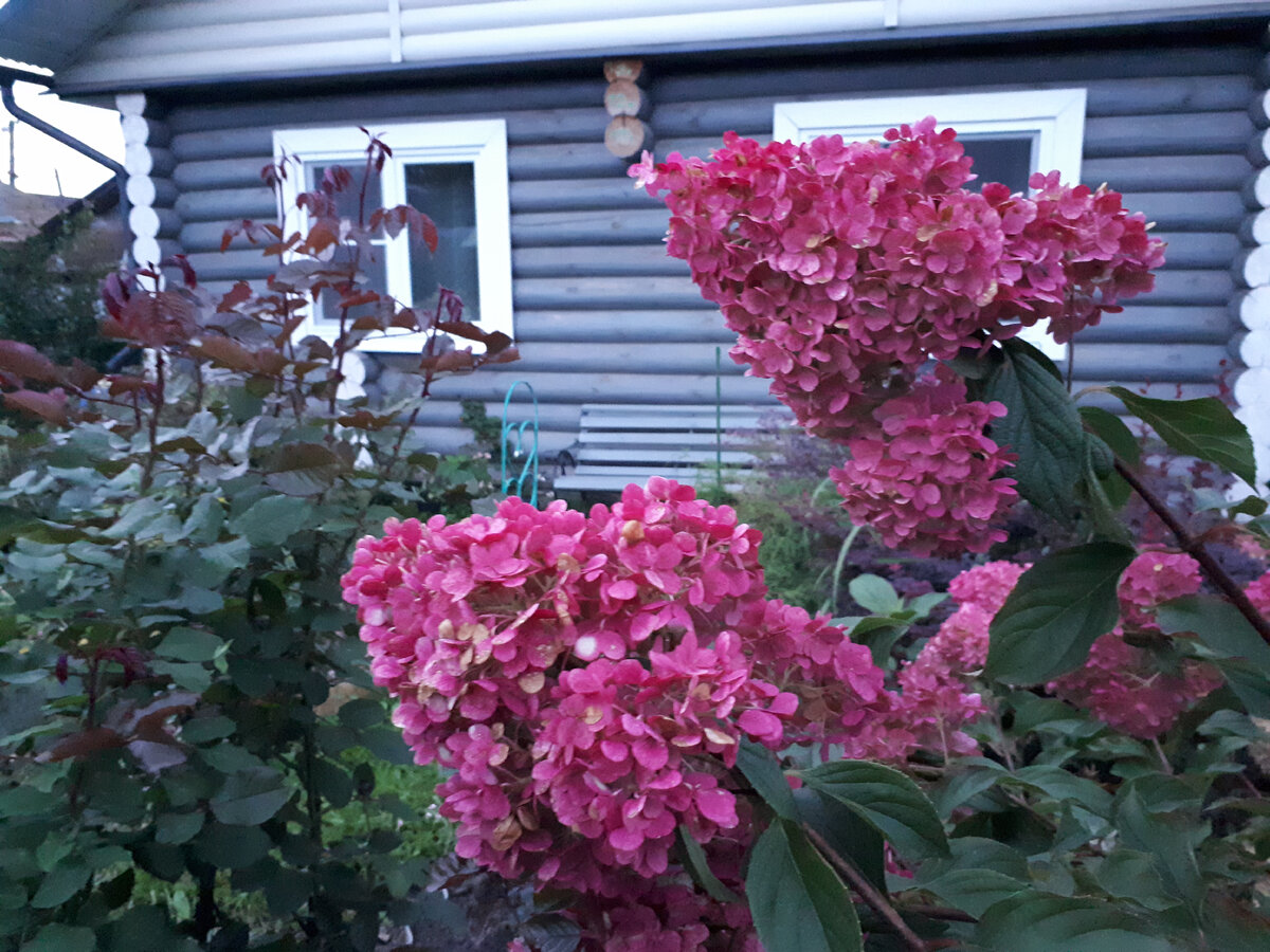 Она же осенью