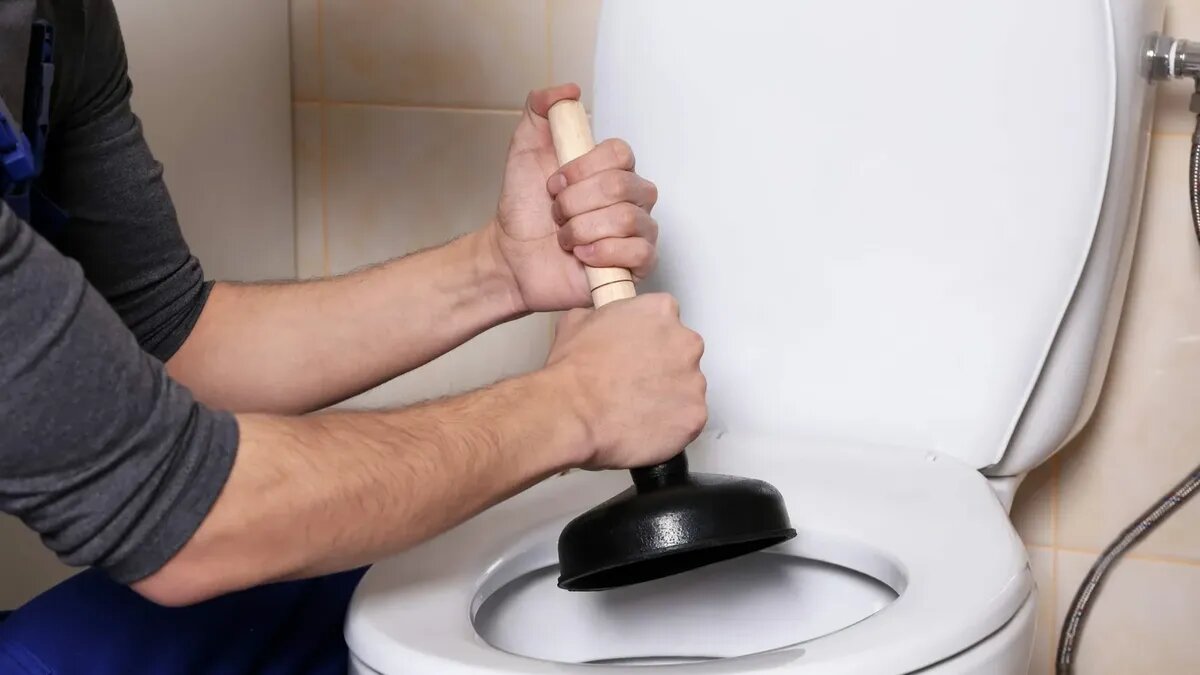 С засорами нужно справляться оперативно. Фото: pxhere.com