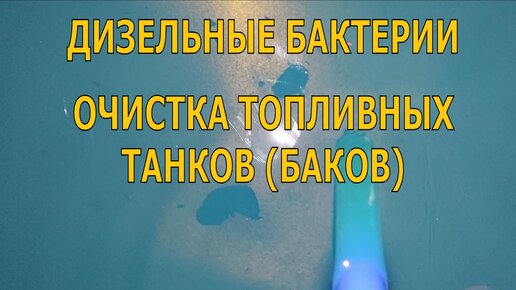 Дизельные бактерии. КАК И ОТ ЧЕГО ЧИСТИТЬ ТОПЛИВНЫЕ ТАНКИ (БАКИ) ЯХТЫ или ПОЧЕМУ МОТОР ЗАГЛОХ.