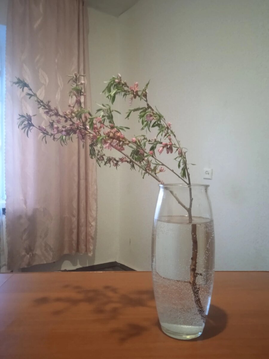 Это та самая веточка, о которой написана сказка. 