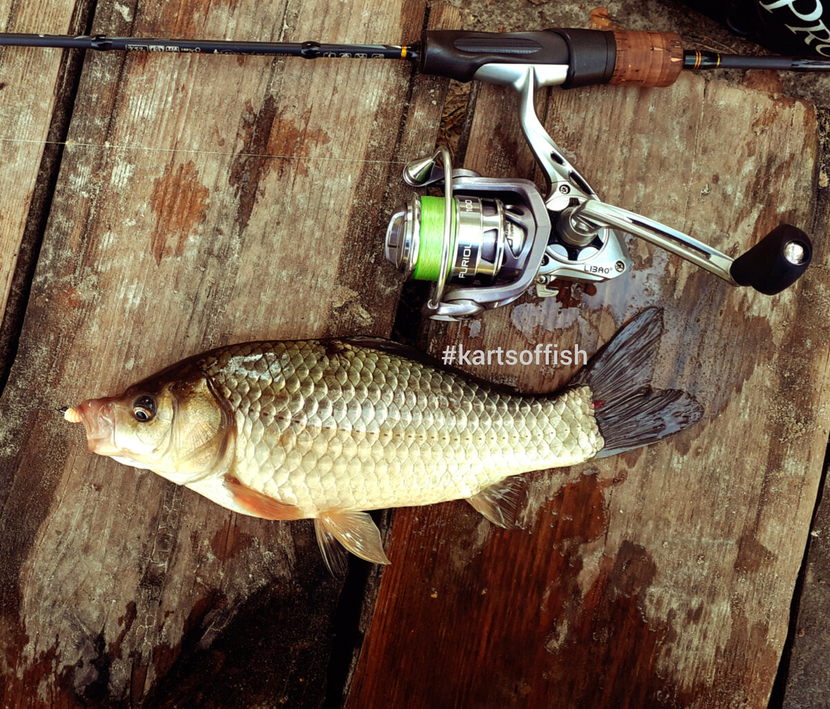 Мормышка 0.3гр с присадкой иск.опарыша