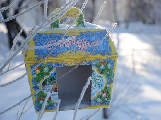     фото: Андрей Давыдов / МК-Урал