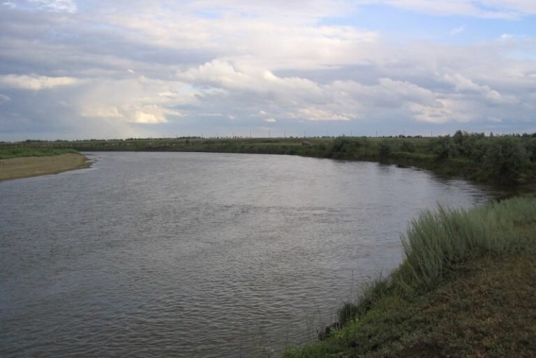    В Тоцком районе в пруду, возможно, утонул 36-летний житель Башкортостана Кристина Просвиркина