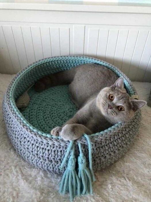 Фото из публичных источников.  