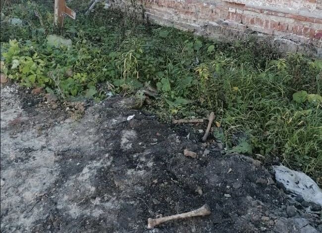    "Тобольское время"