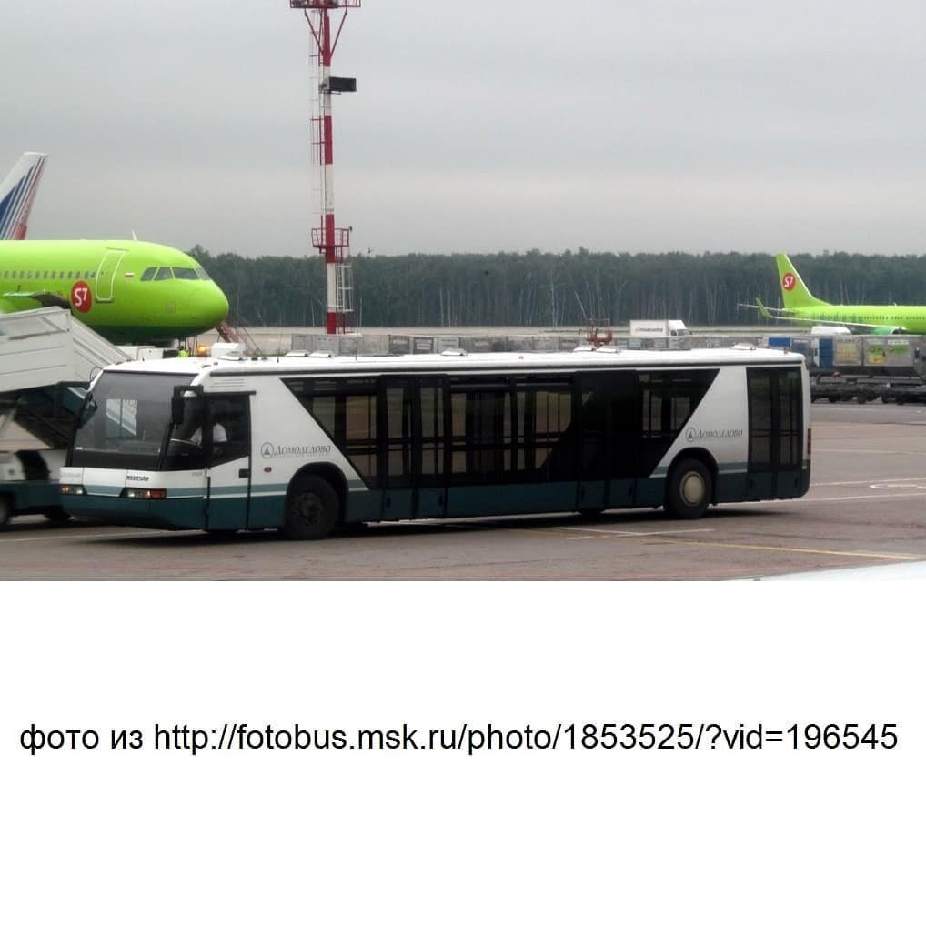 автобус неоплан