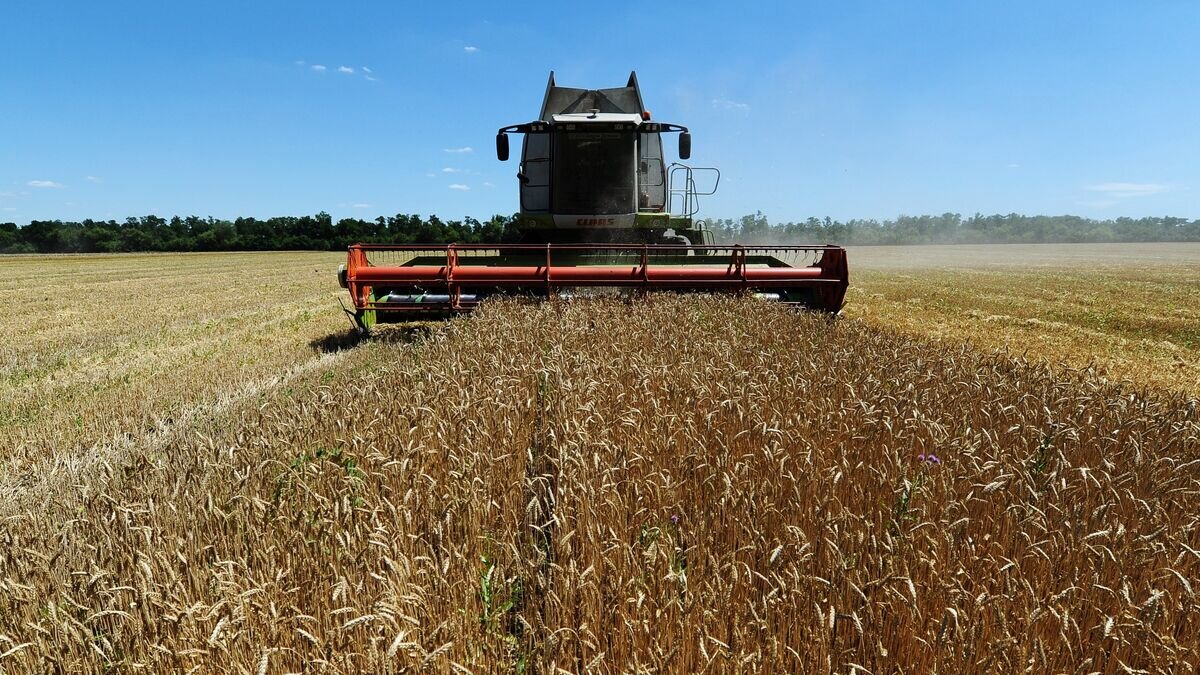    Уборка пшеницы в Ростовской области© РИА Новости / Сергей Пивоваров