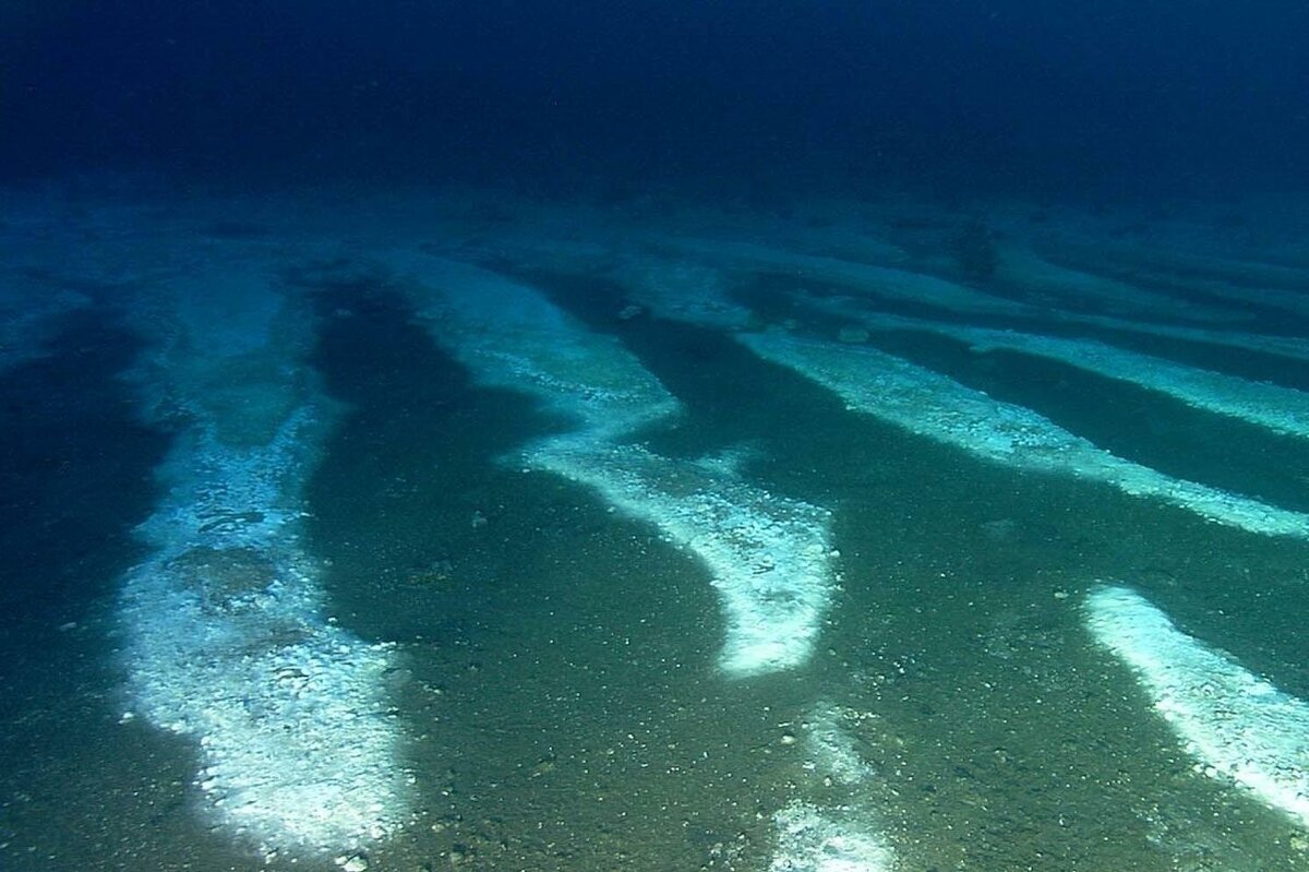 Сочи море глубина. Подводная река на дне черного моря. Подводная река в чёрном море. Черное море на глубине 200 метров. Дно океана.