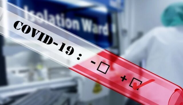    Тест Pixabay.com