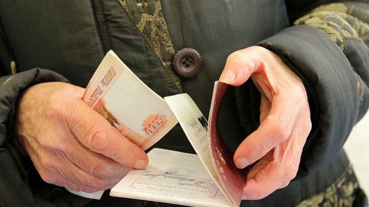    zensovet.ru