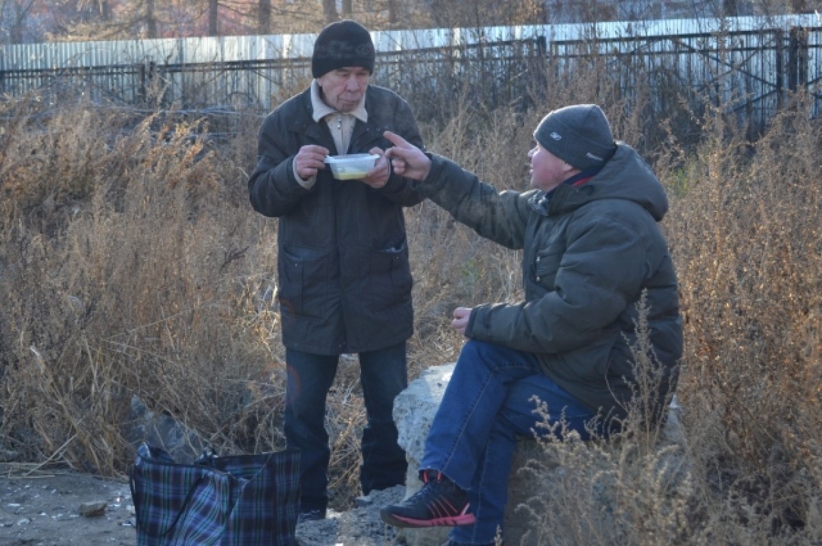    Помощь нужна всем: жительница Томска стала волонтером «Накорми бездомного»