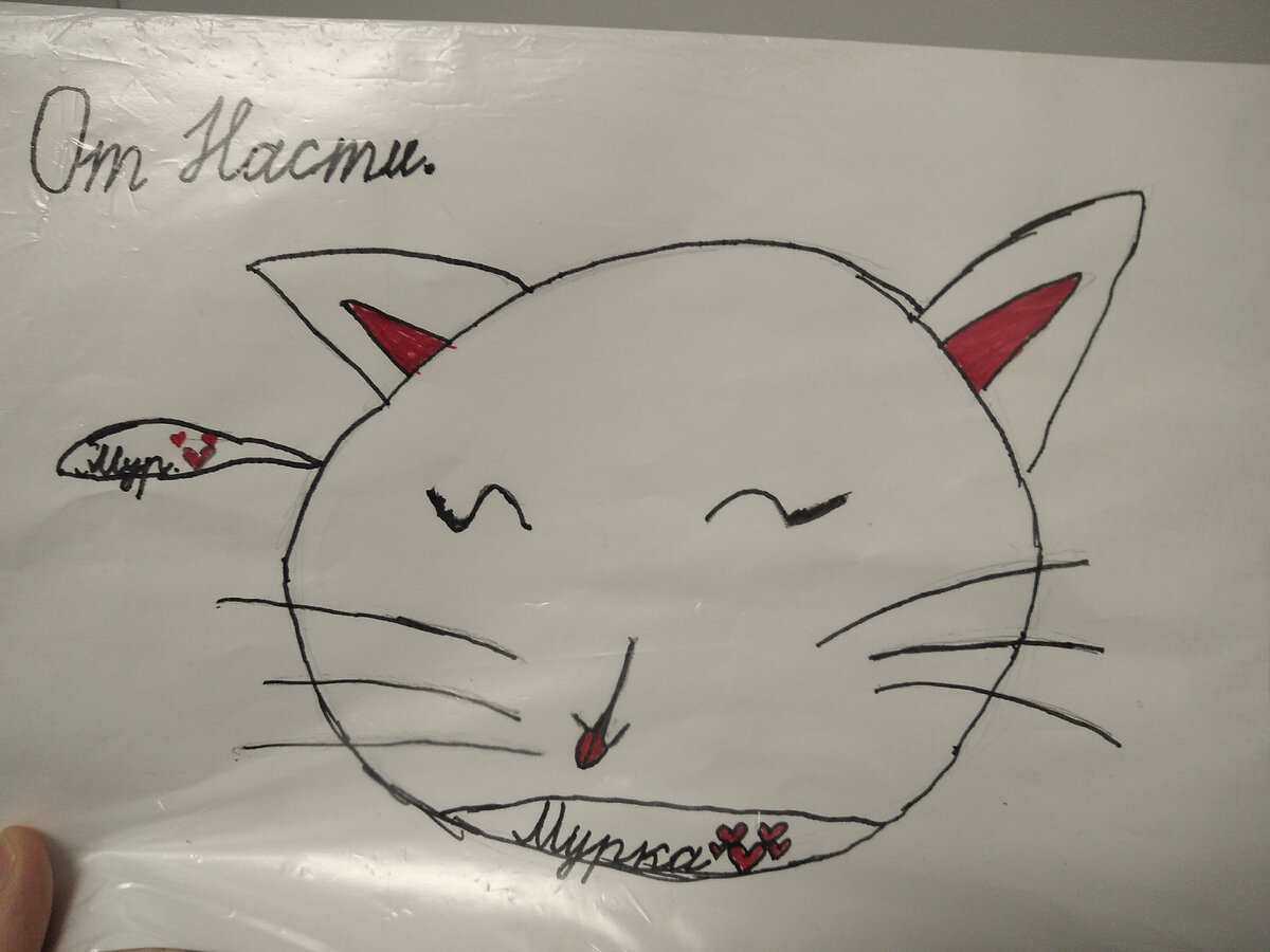 А это очень милая кошечка 🐱