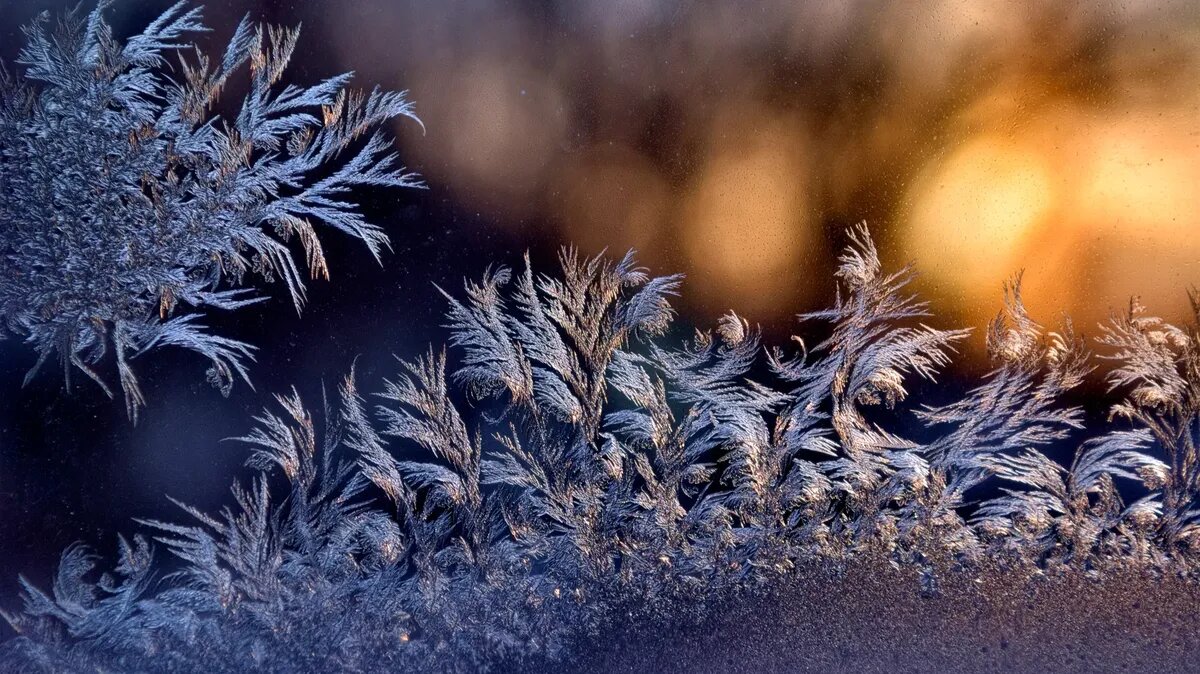 Погода отличается непредсказуемостью. Фото: pxhere.com