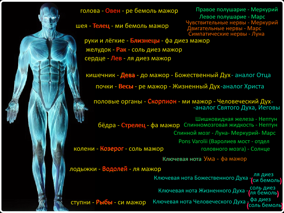 Стрелец