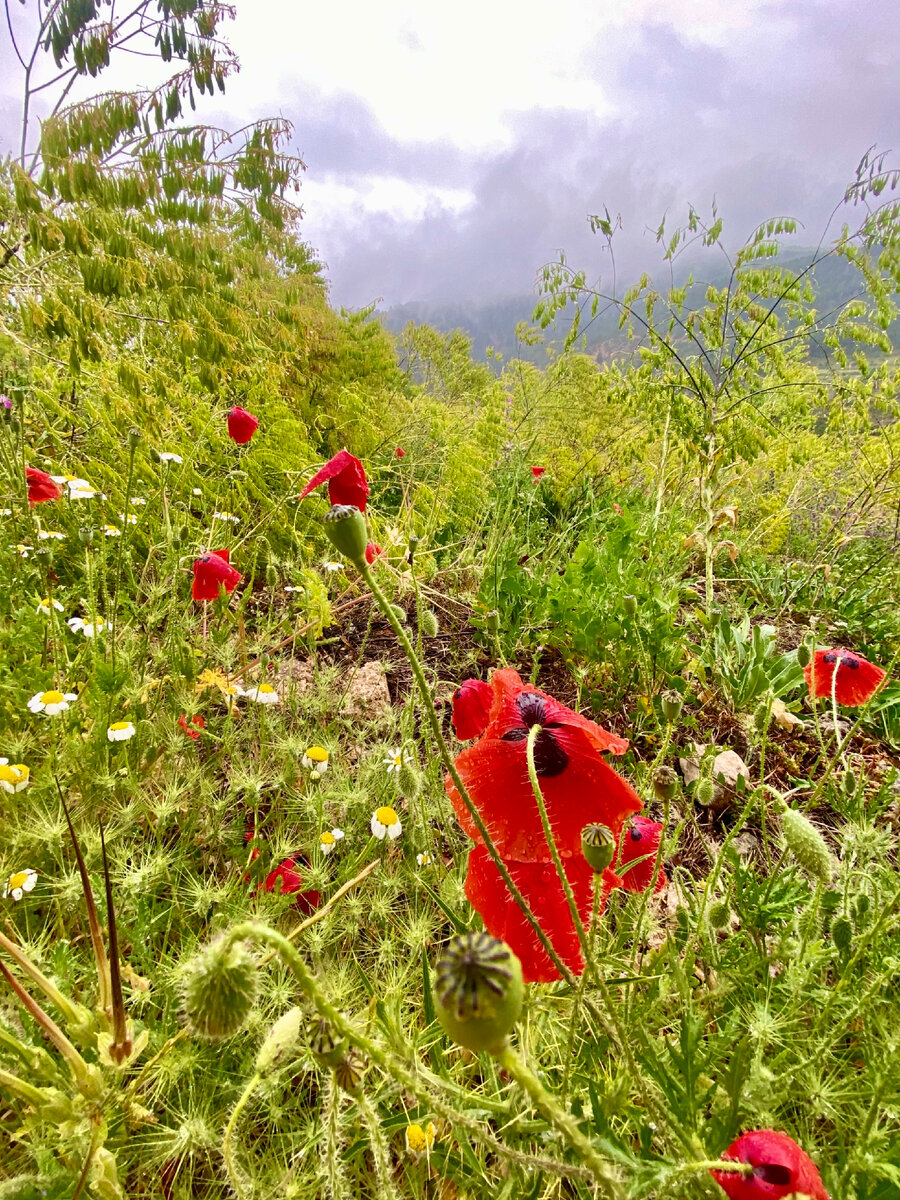 Фото из моего архива путешествий по Испании