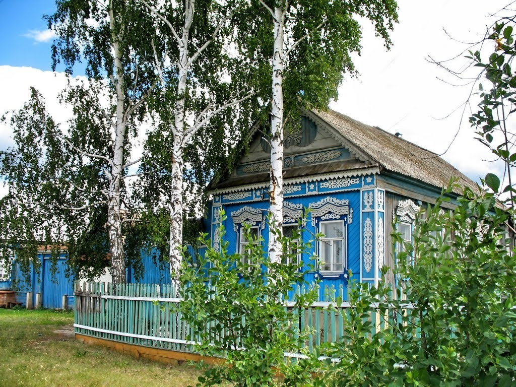Березка у дома картинки