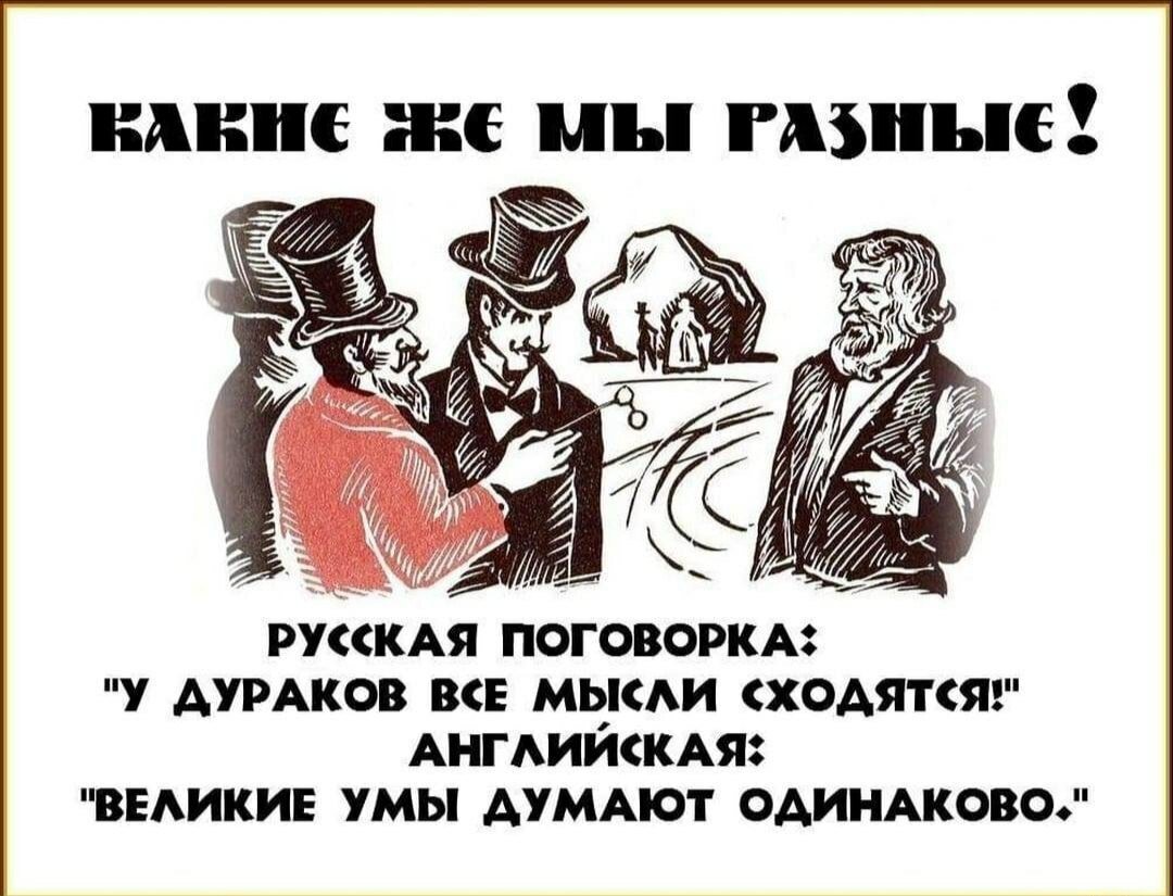 Картинка с дураками