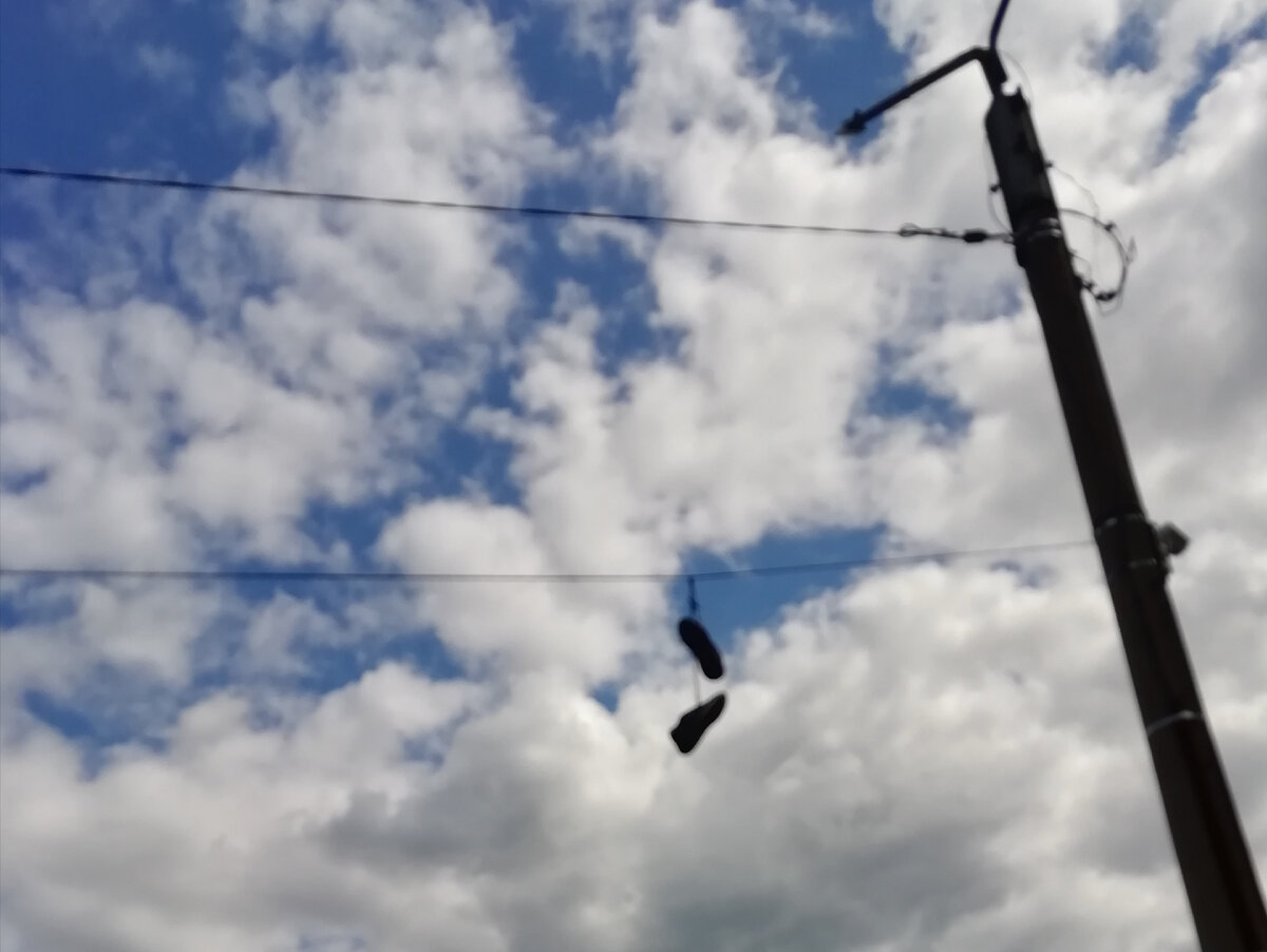  Фото автора.