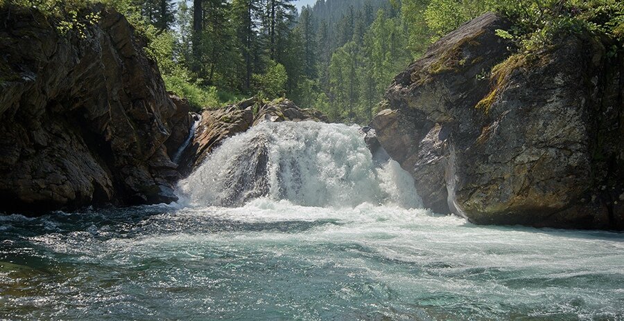 Источник: Байкальский заповедник / Сергей Пшонкин