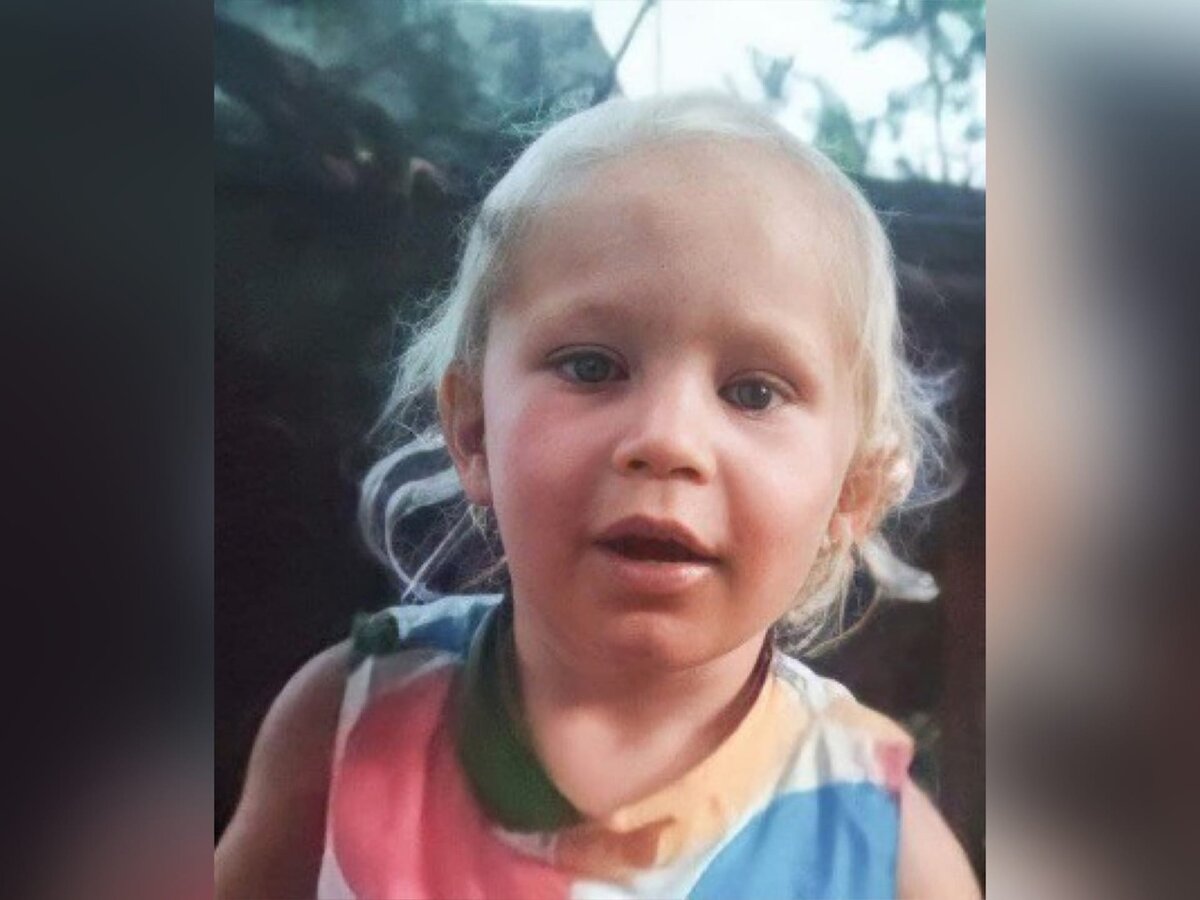 няни воруют детей в москве. пропавшая девушка найдена живой. под смоленском пропала девочка. пропавшая девочка в холме новгородской области. люда кузина пропала.