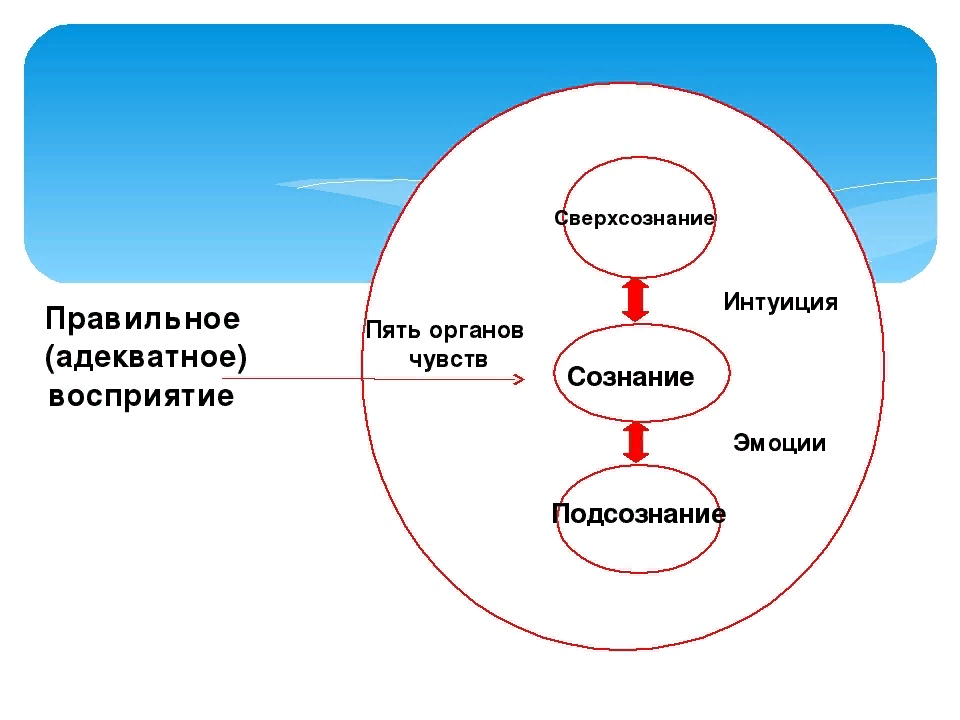 Сознание мышление душа проект по обществознанию