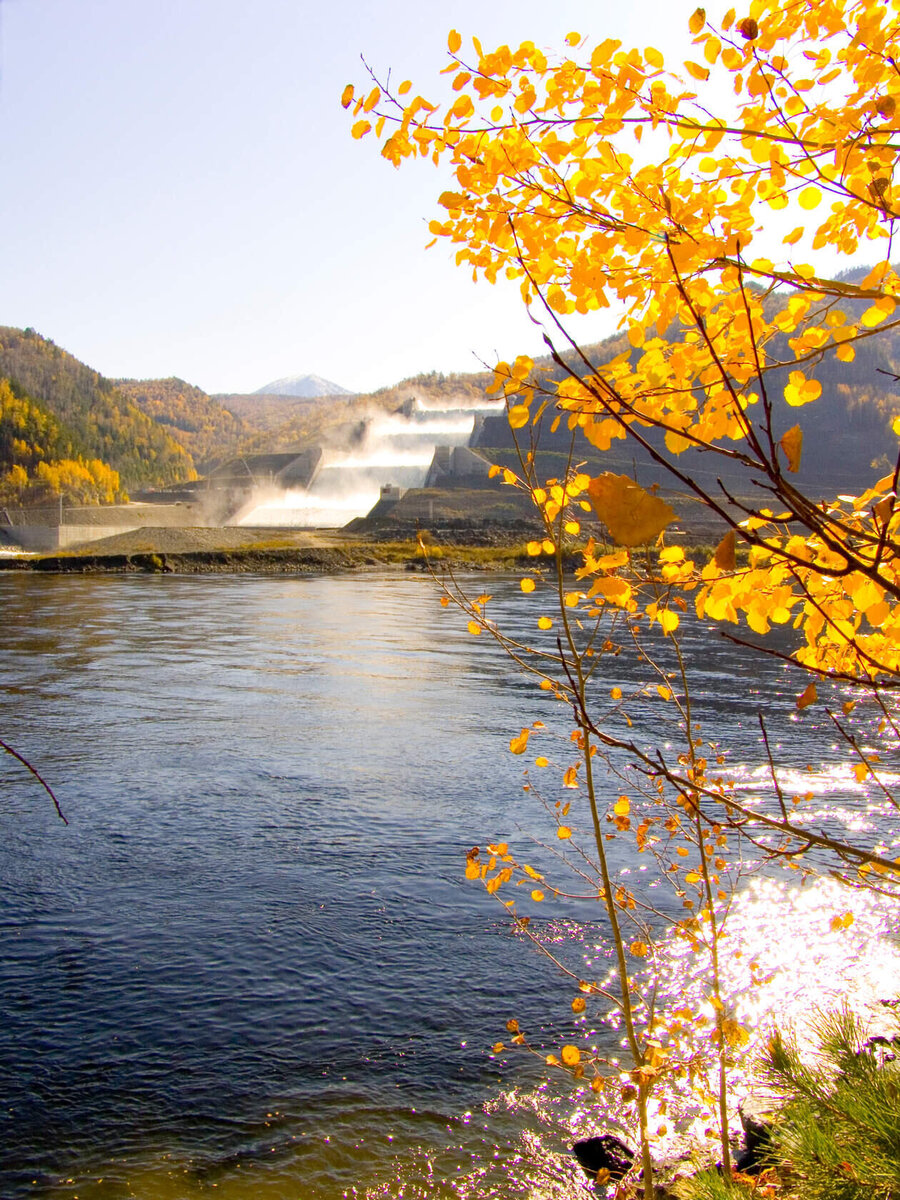 Фото из личного архива С. Ю. Трапезун. Золотая осень в Черёмушках...