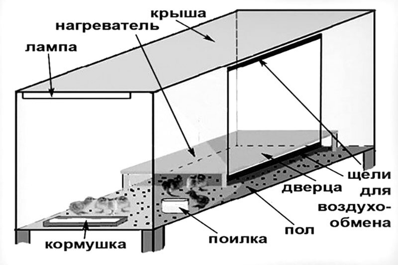 Брудеры (клетки) для цыплят