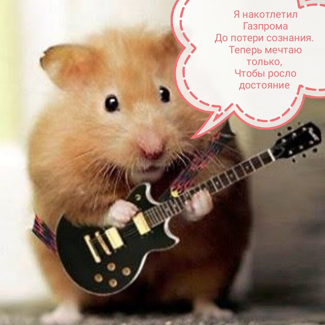 Крик души хомяко-инвесторов Газпрома 