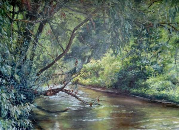 Река Кантемировка, Кудыкина гора, Липецкая область. 80х60см.  Холст, масло.
