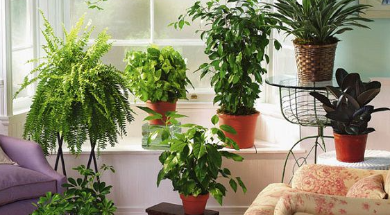 Добавьте описание