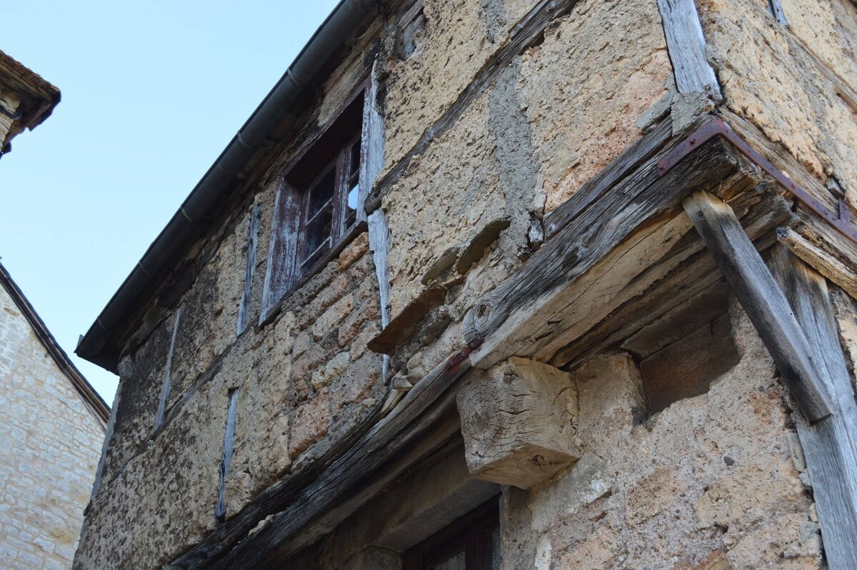 Крупный план. Фото - страница дома Жанны в Фейсбуке. 