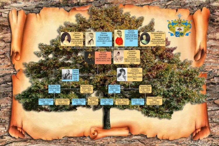 Как составить генеалогическое древо семьи: шаблоны и советы