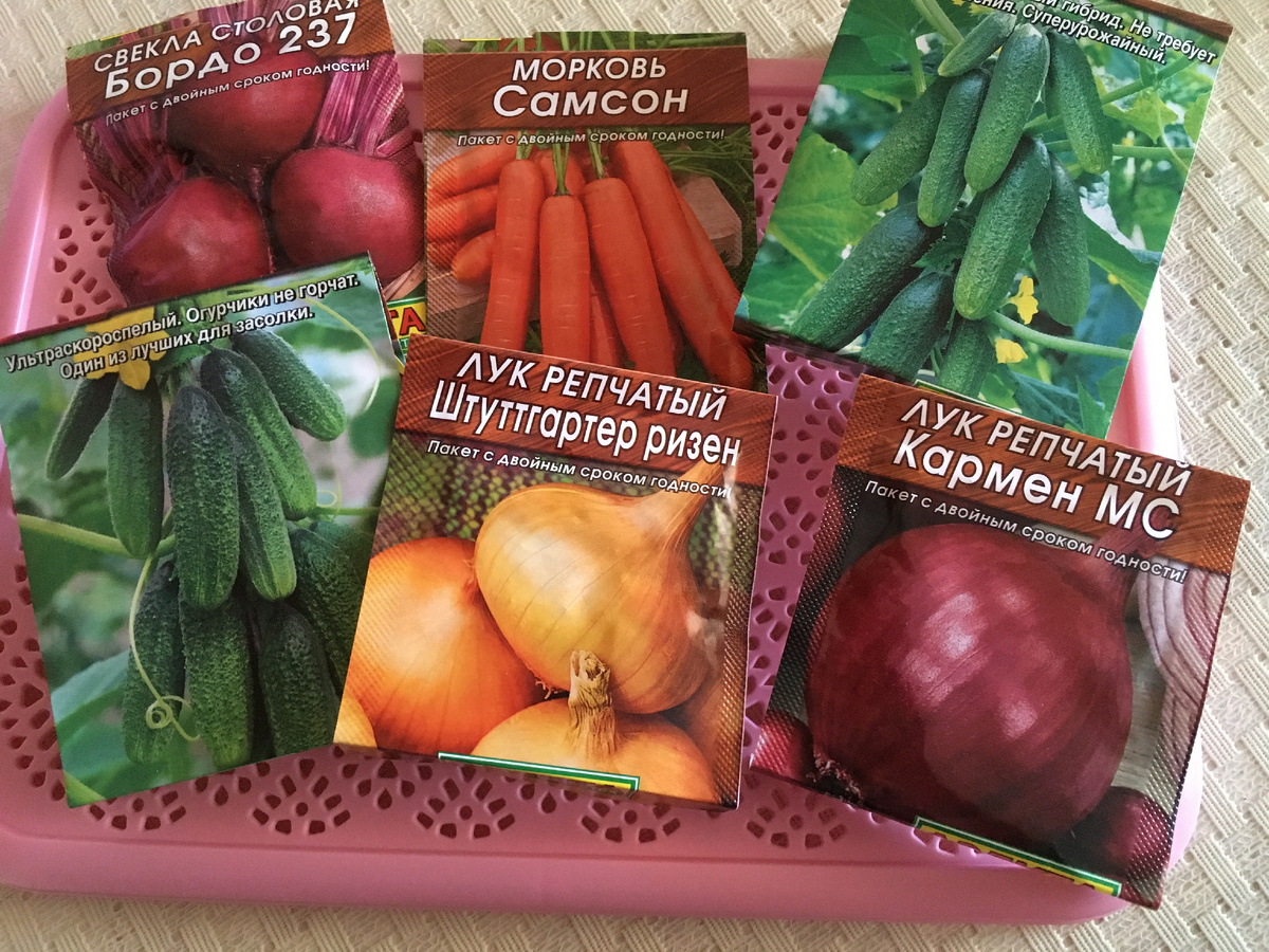 Семена  для борщевого набора и огурцы.