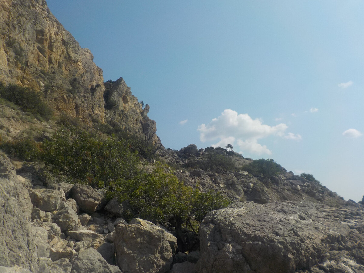 Нагромождение валунов на восточной стороне горы Алчак