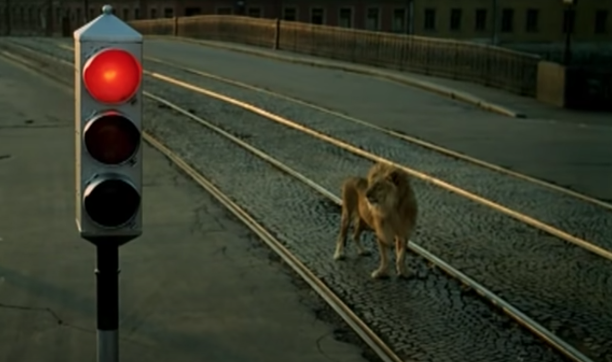 Лев из фильма "Невероятные приключения итальянцев в России"