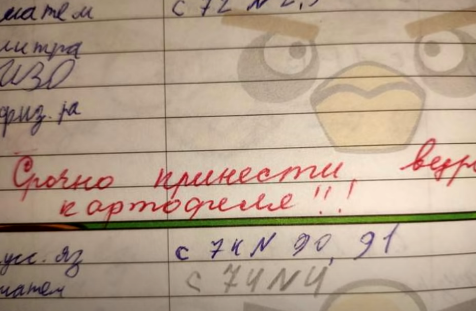 Смешные записи в тетрадях школьников
