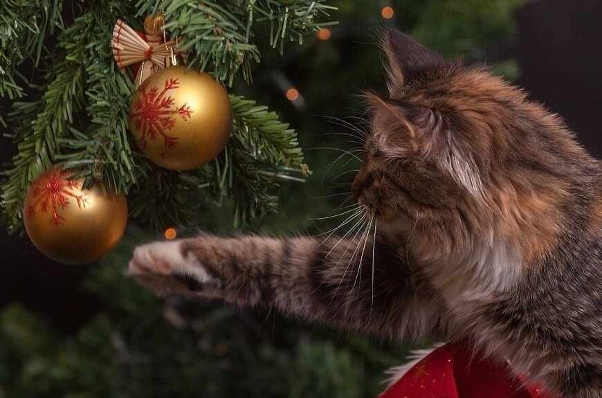 Иллюстрация с интернета.Рождественнская ёлка.