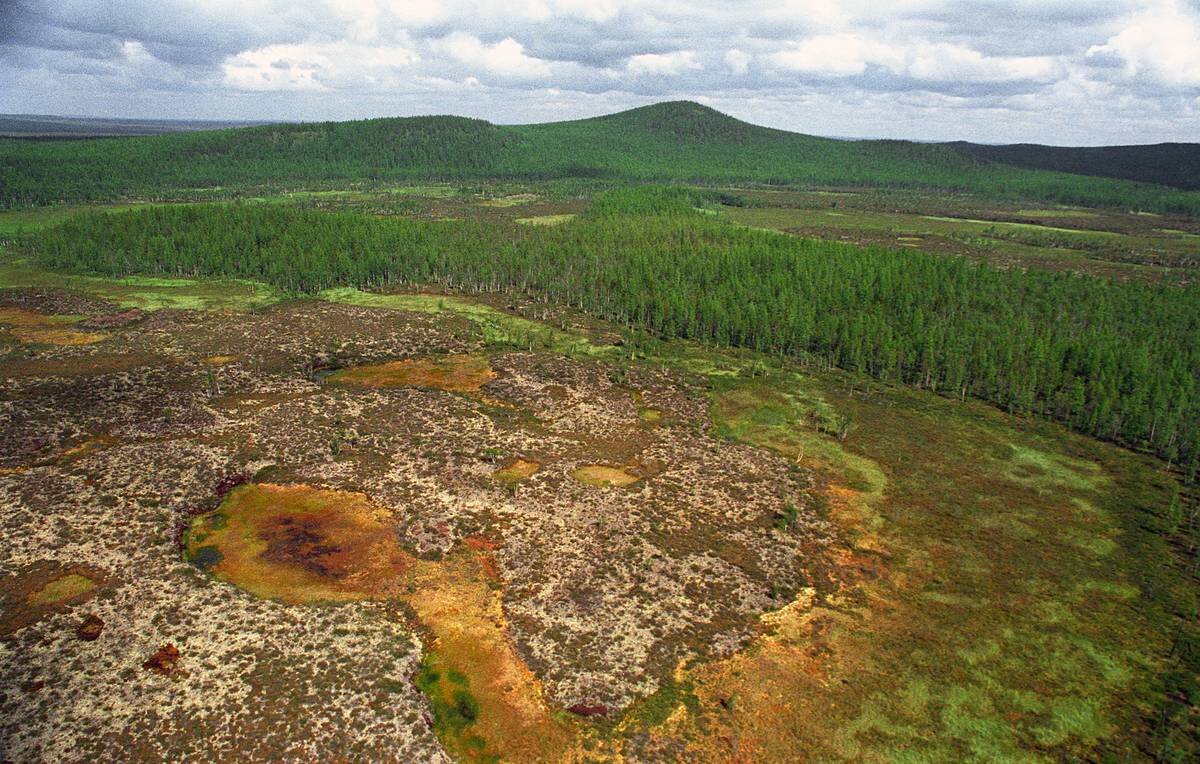 Шрам на месте падения Тунгусского метеорита так же сохранился до наших дней